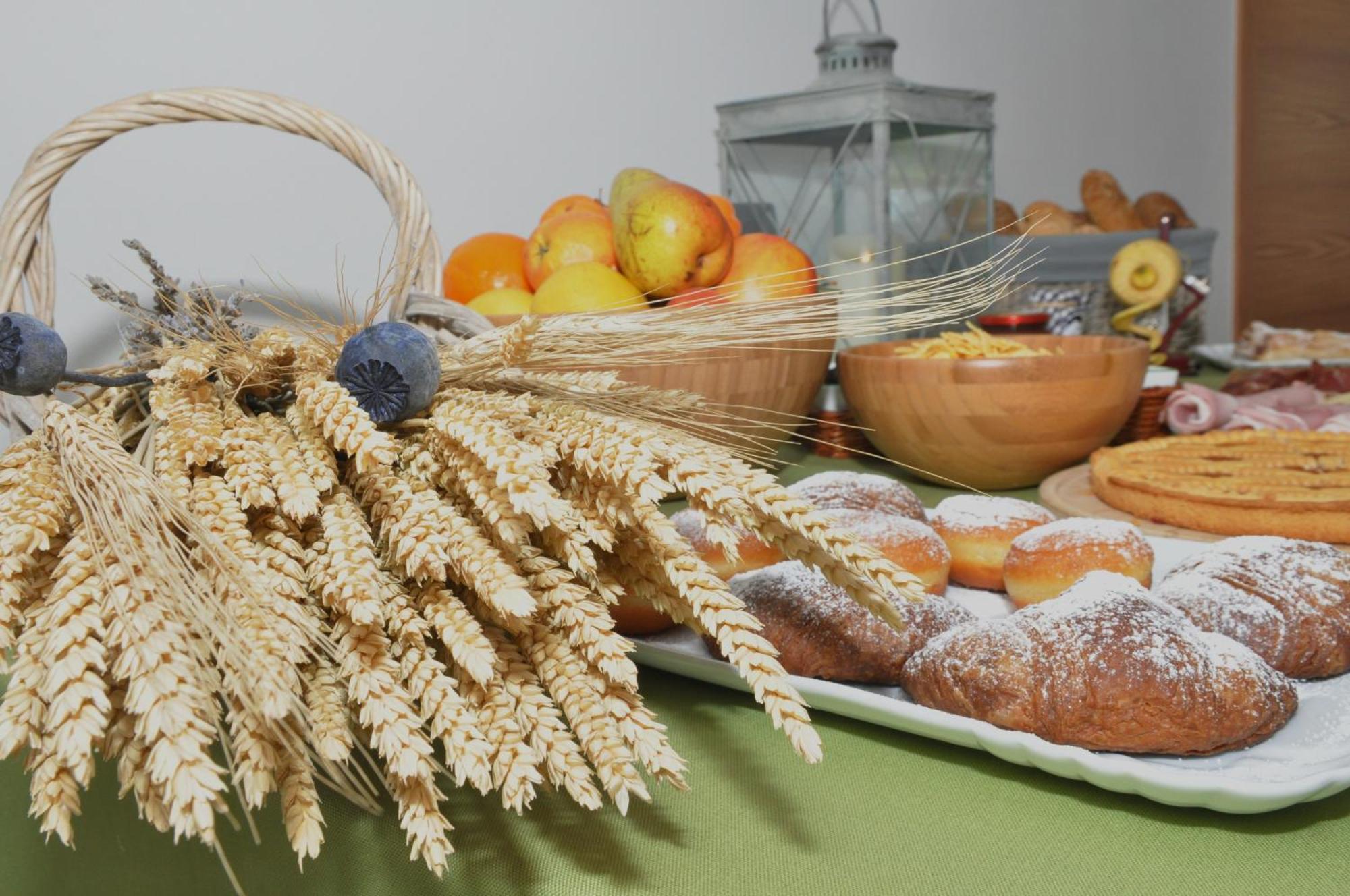 Garni Dal Mozat Bed & Breakfast Lenzumo di Concei Dış mekan fotoğraf