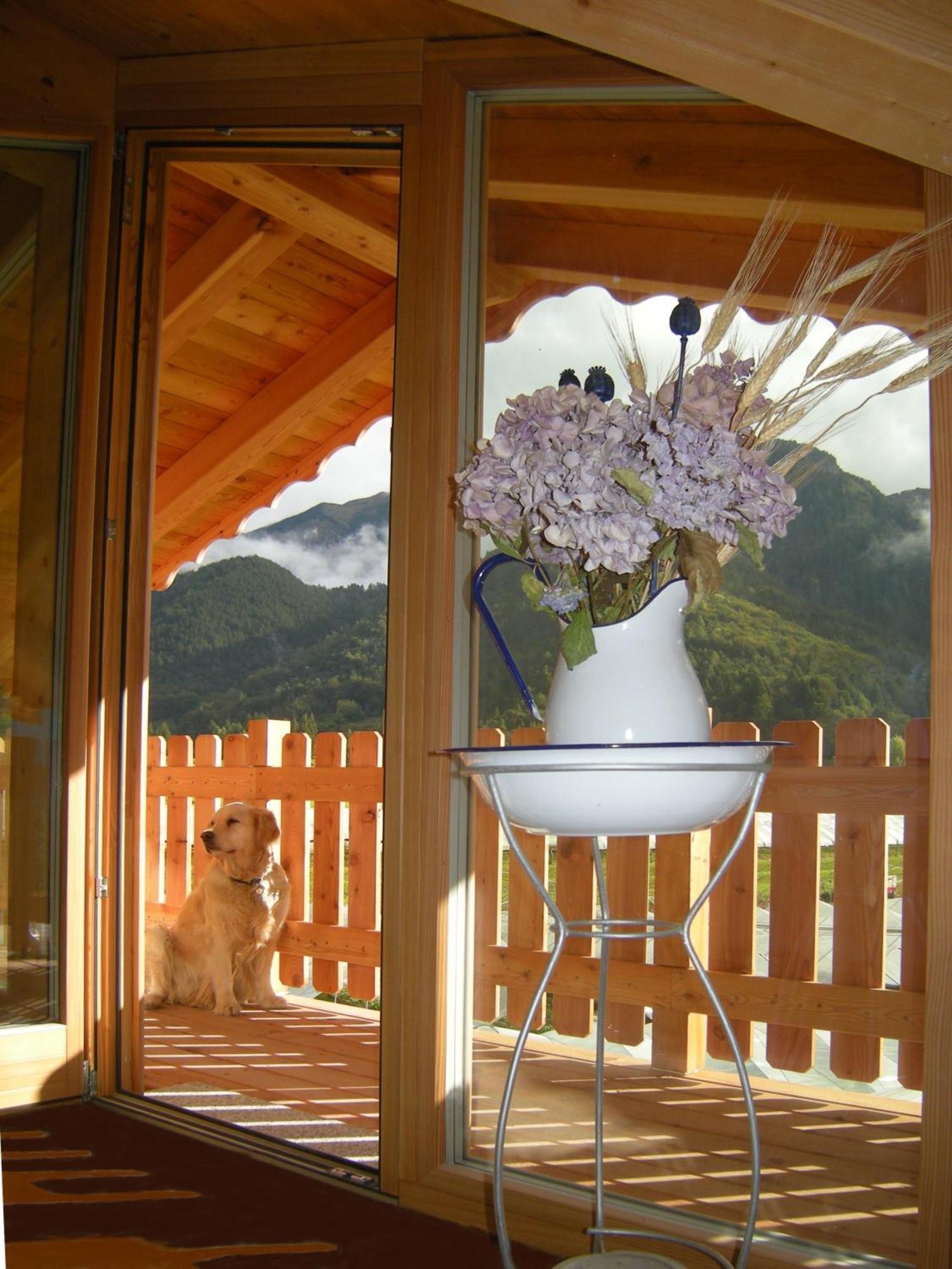 Garni Dal Mozat Bed & Breakfast Lenzumo di Concei Dış mekan fotoğraf